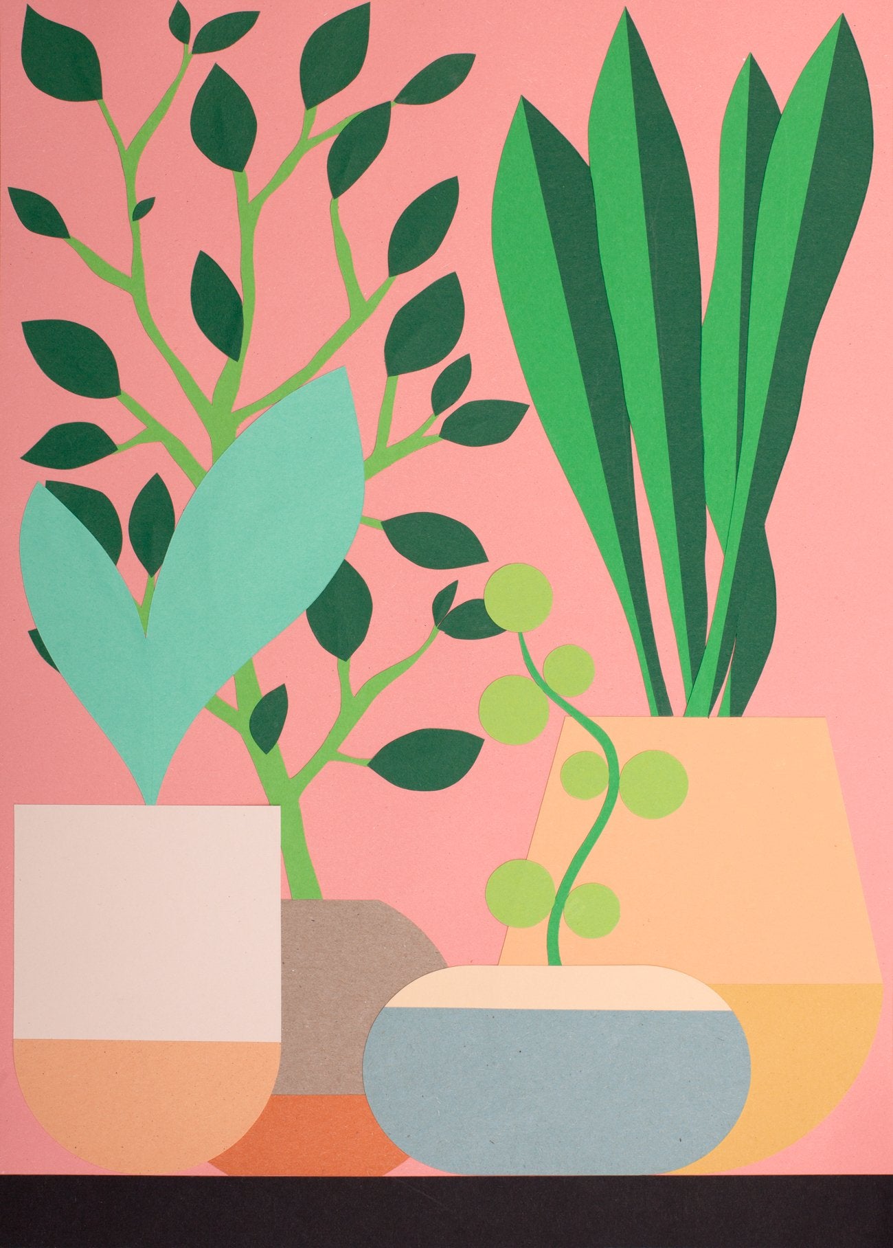 Plants and Pottery
