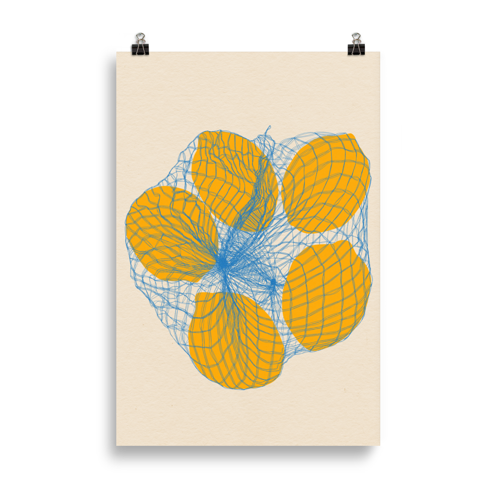 Poster Art Print Illustration – Five Lemons in a net bag
