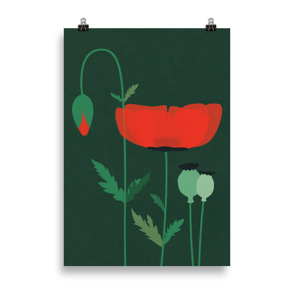 Poster Art Print Illustration – Red Poppy