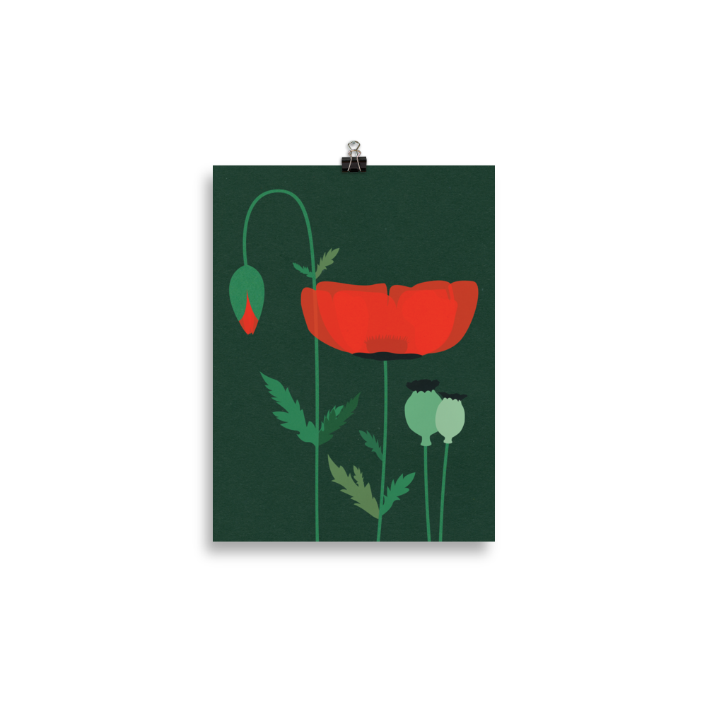Poster Art Print Illustration – Red Poppy