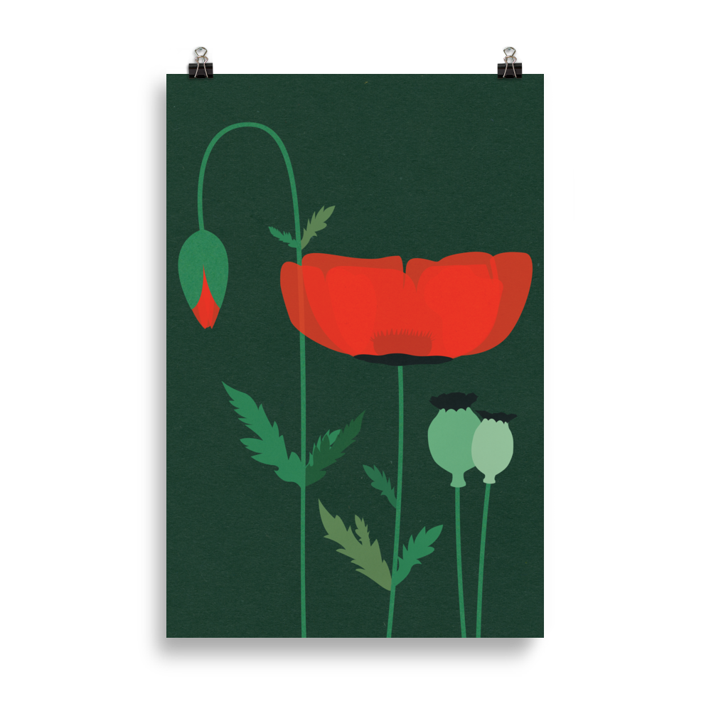 Poster Art Print Illustration – Red Poppy