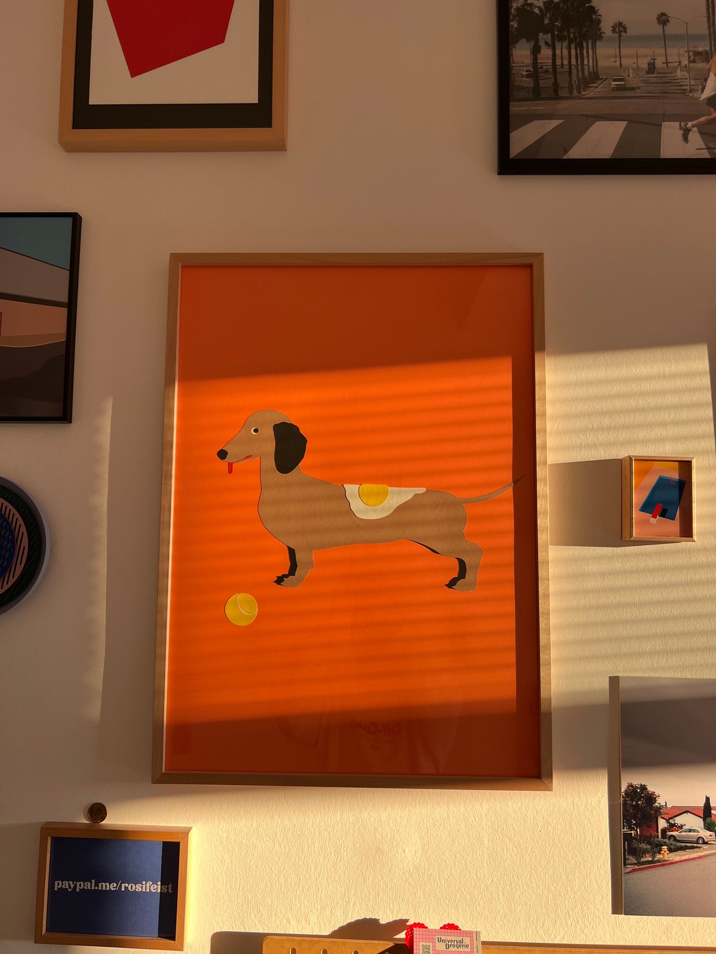 Dachshund with Tennisball and Fried Egg