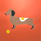 Dachshund with Tennisball and Fried Egg