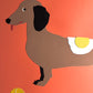 Dachshund with Tennisball and Fried Egg