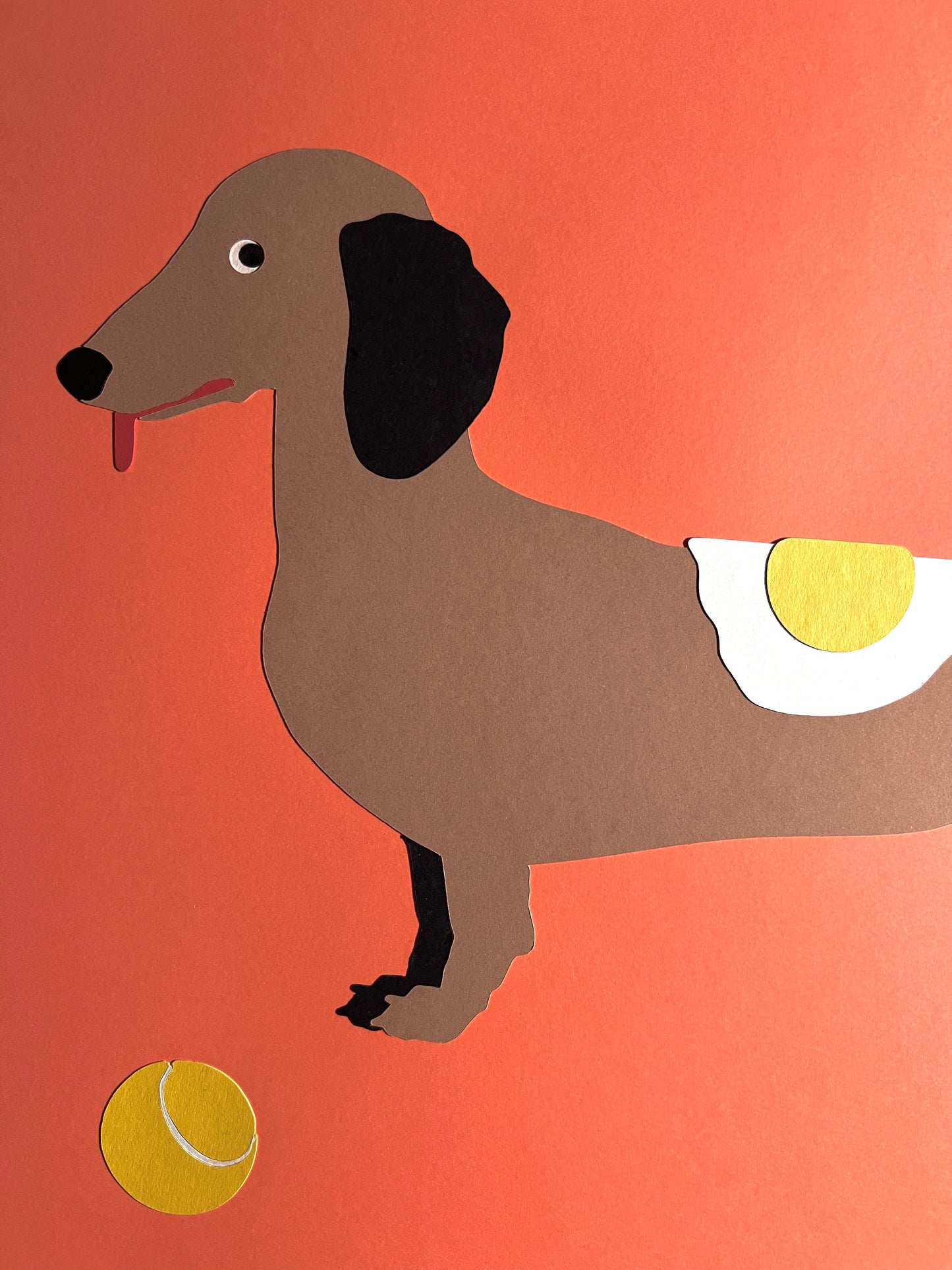 Dachshund with Tennisball and Fried Egg