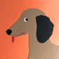Dachshund with Tennisball and Fried Egg