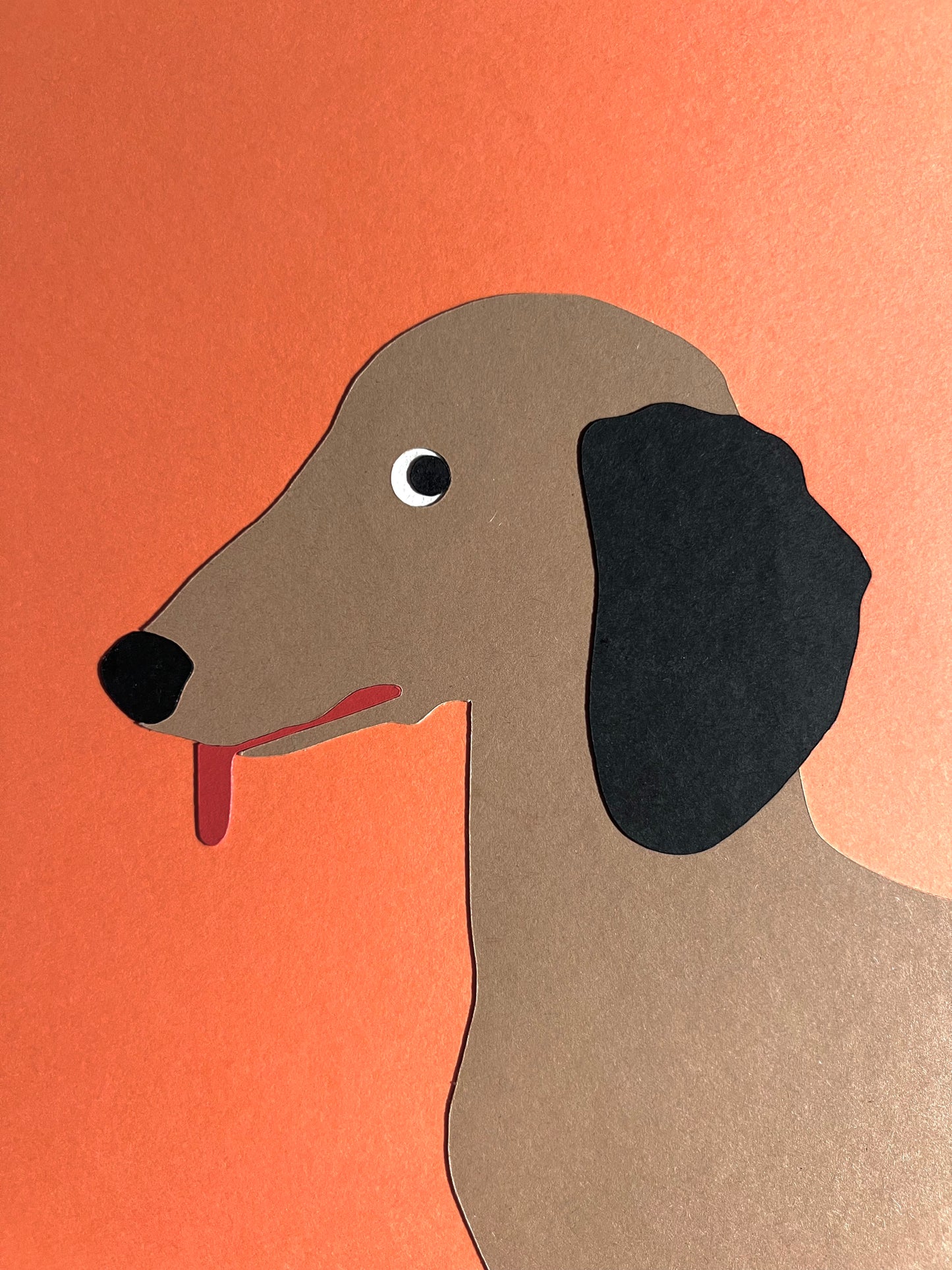 Dachshund with Tennisball and Fried Egg