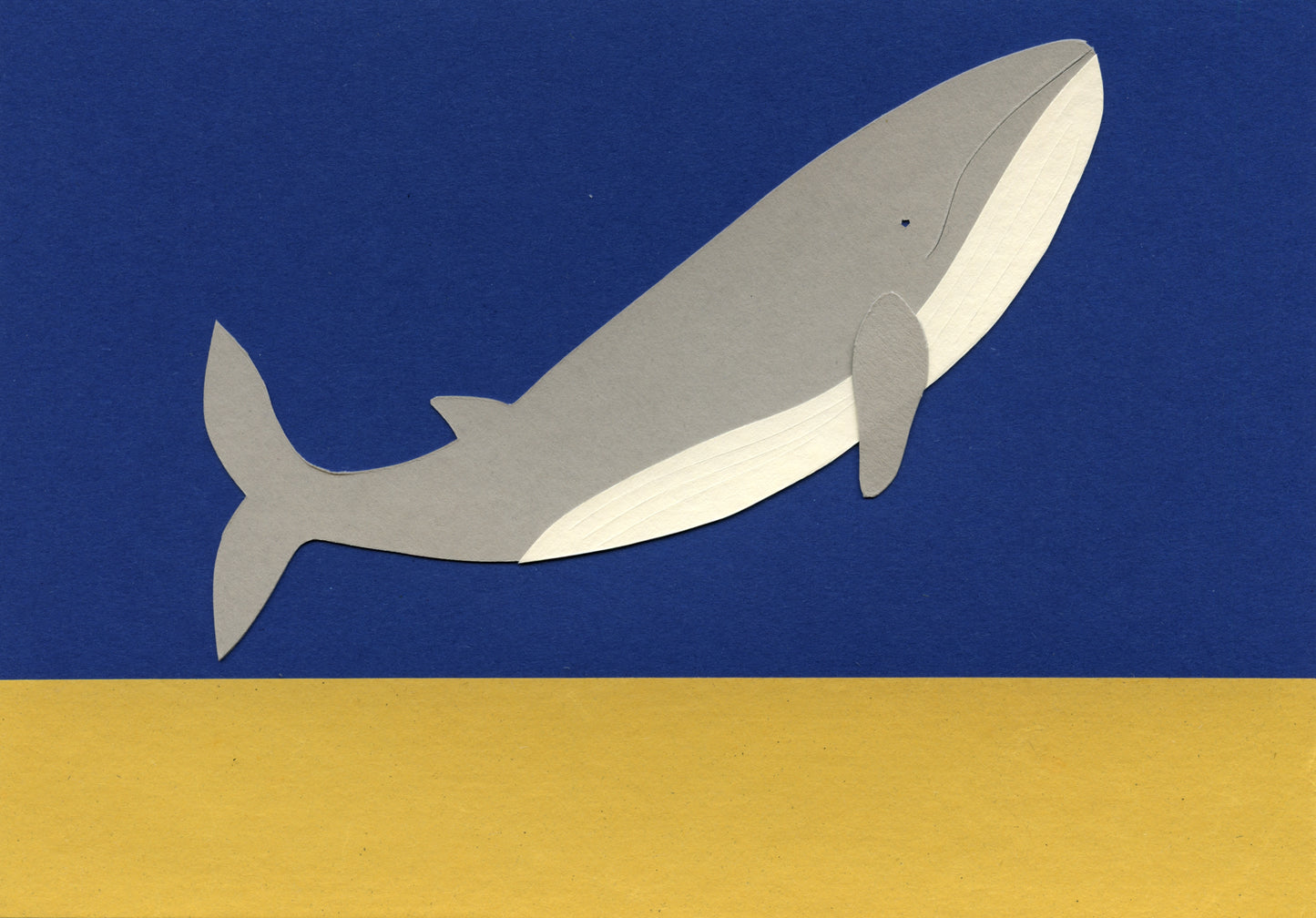 Paper Whale #1