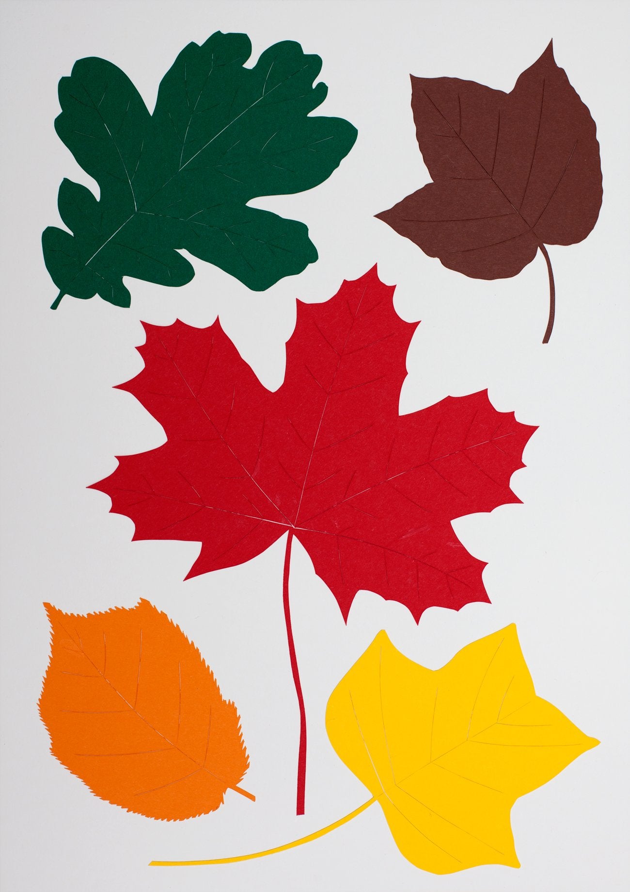 Fallen Leaves