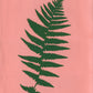 Fern