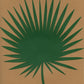 Fan Palm Leaf