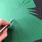Fan Palm Leaf