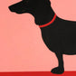 Dachshund Rosi