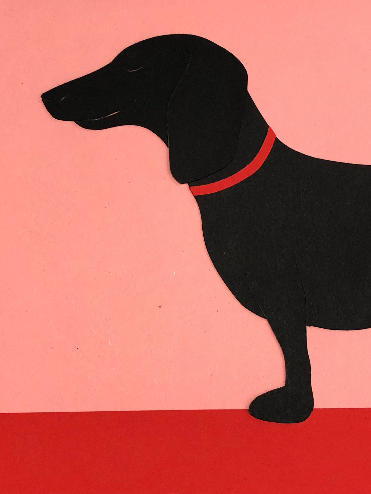 Dachshund Rosi