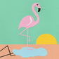 Flamingo Herbert