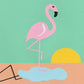 Flamingo Herbert