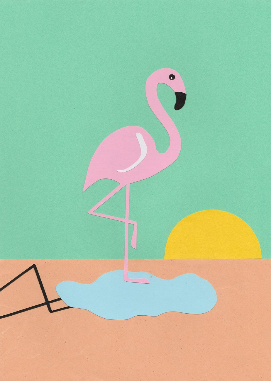 Flamingo Herbert