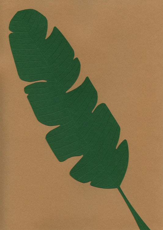 Banana Leaf