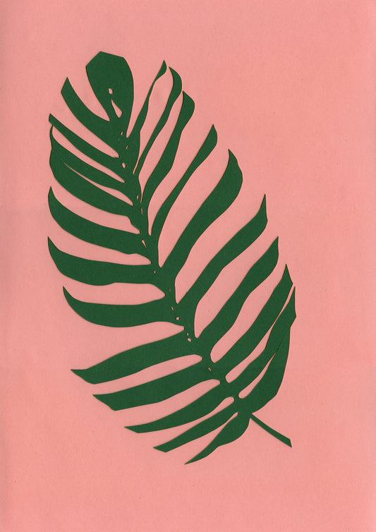 Philodendron
