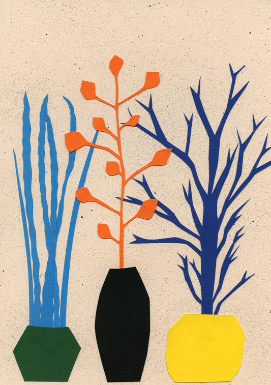 Plants And Pots