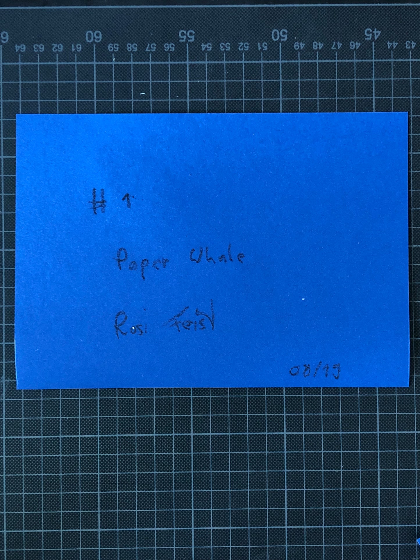 Paper Whale #1