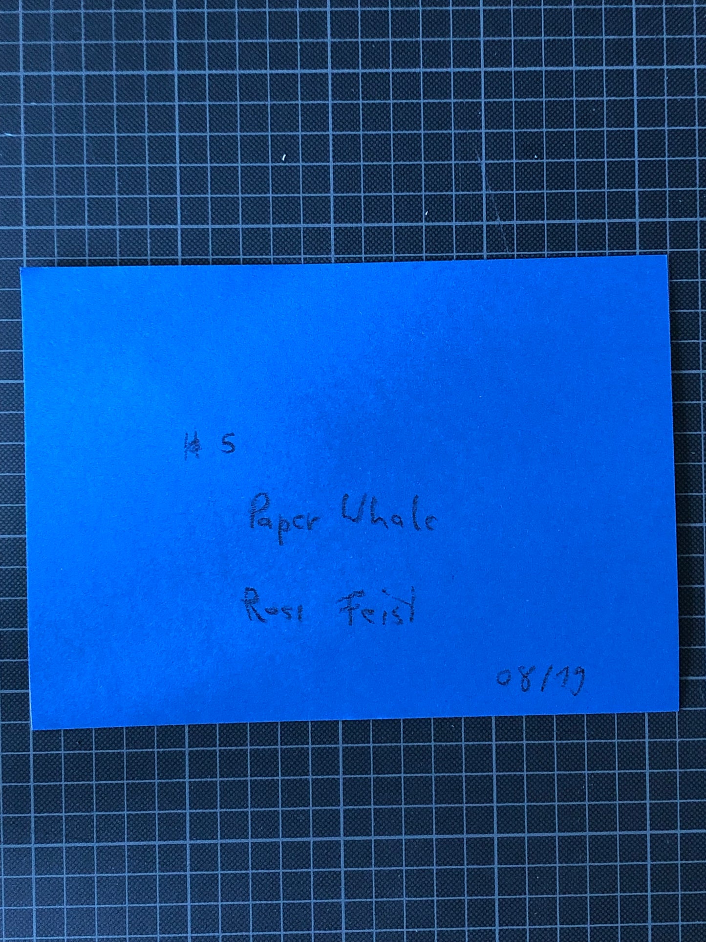 Paper Whale #5