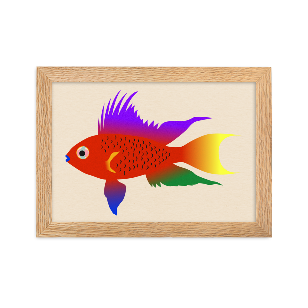 Framed Fine Art Print – Buntbarsch