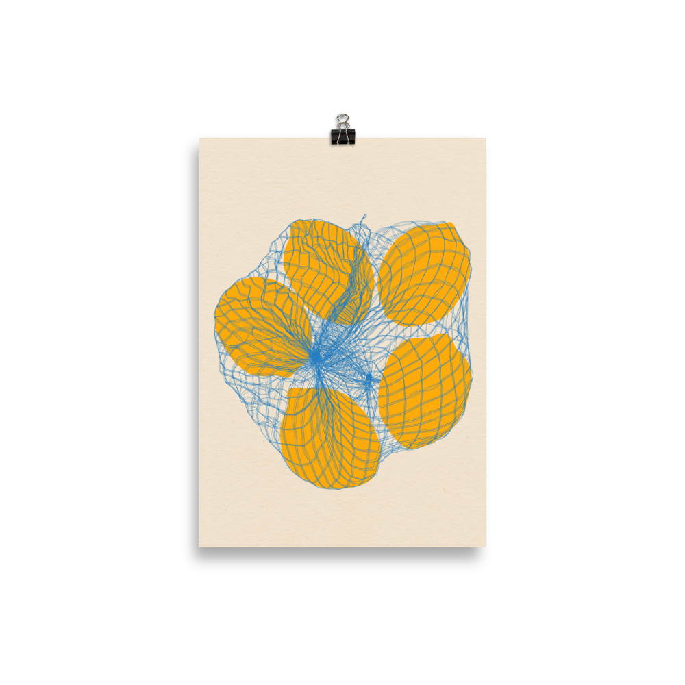 Poster Art Print Illustration – Five Lemons in a net bag