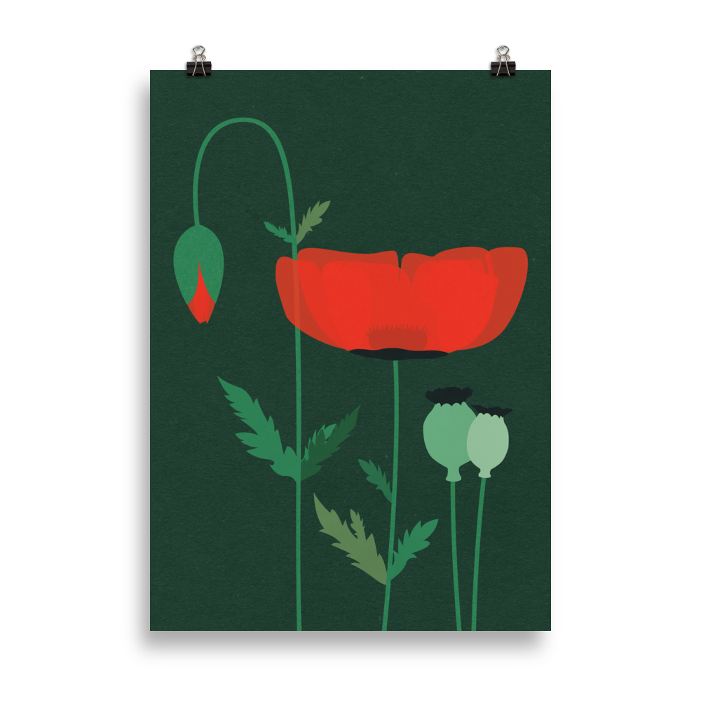 Poster Art Print Illustration – Red Poppy