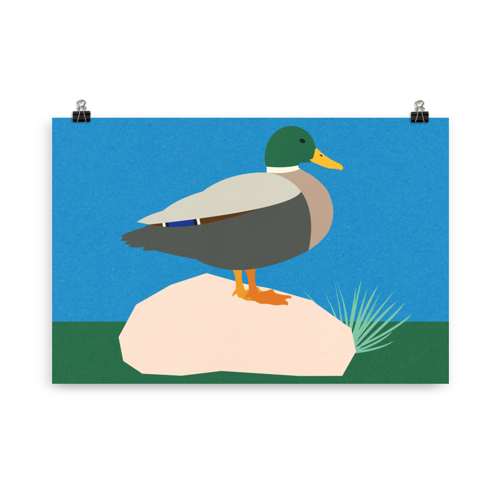 Poster Art Print Illustration – Duck Pola