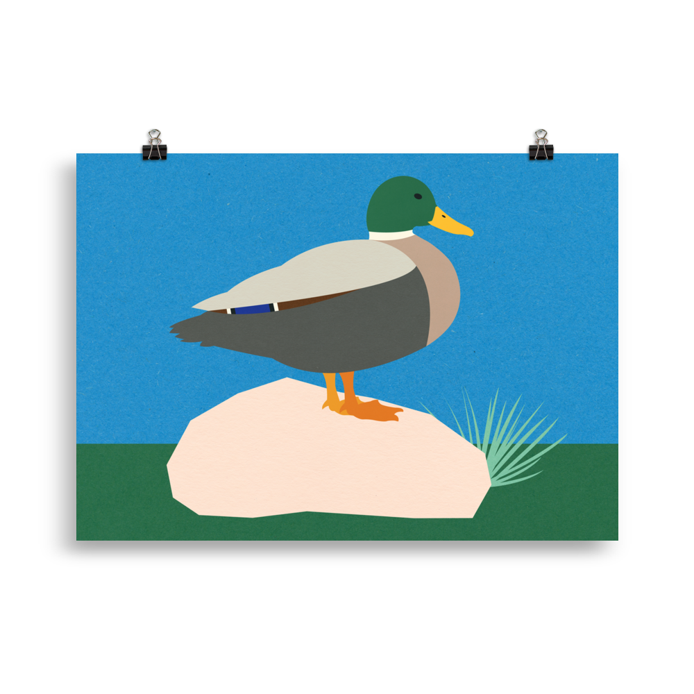 Poster Art Print Illustration – Duck Pola