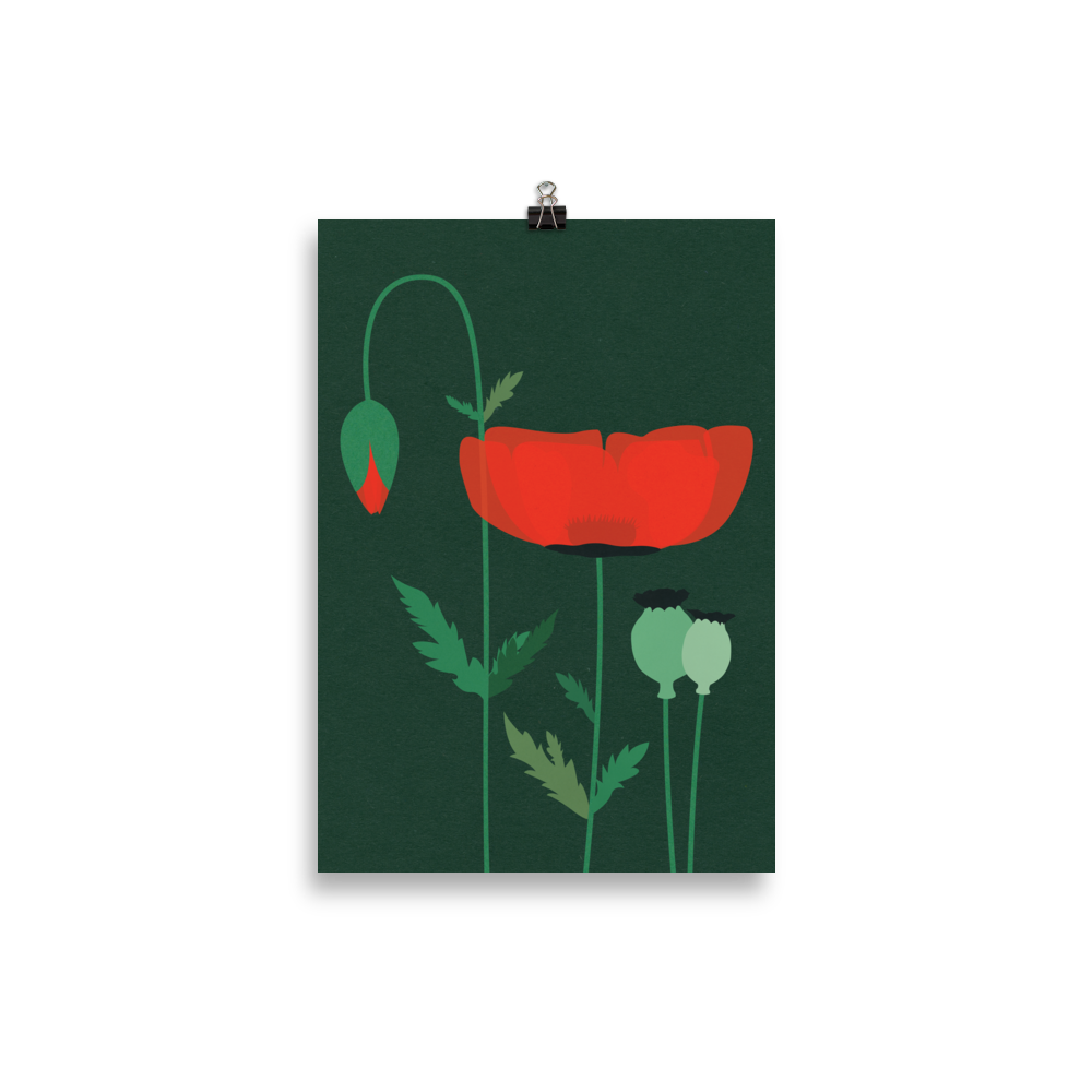 Poster Art Print Illustration – Red Poppy